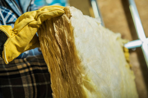Best Cellulose Insulation in Orwigsburg, PA
