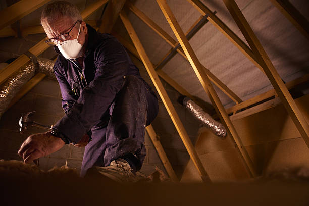 Best DIY Insulation Kits and Guidance in Orwigsburg, PA